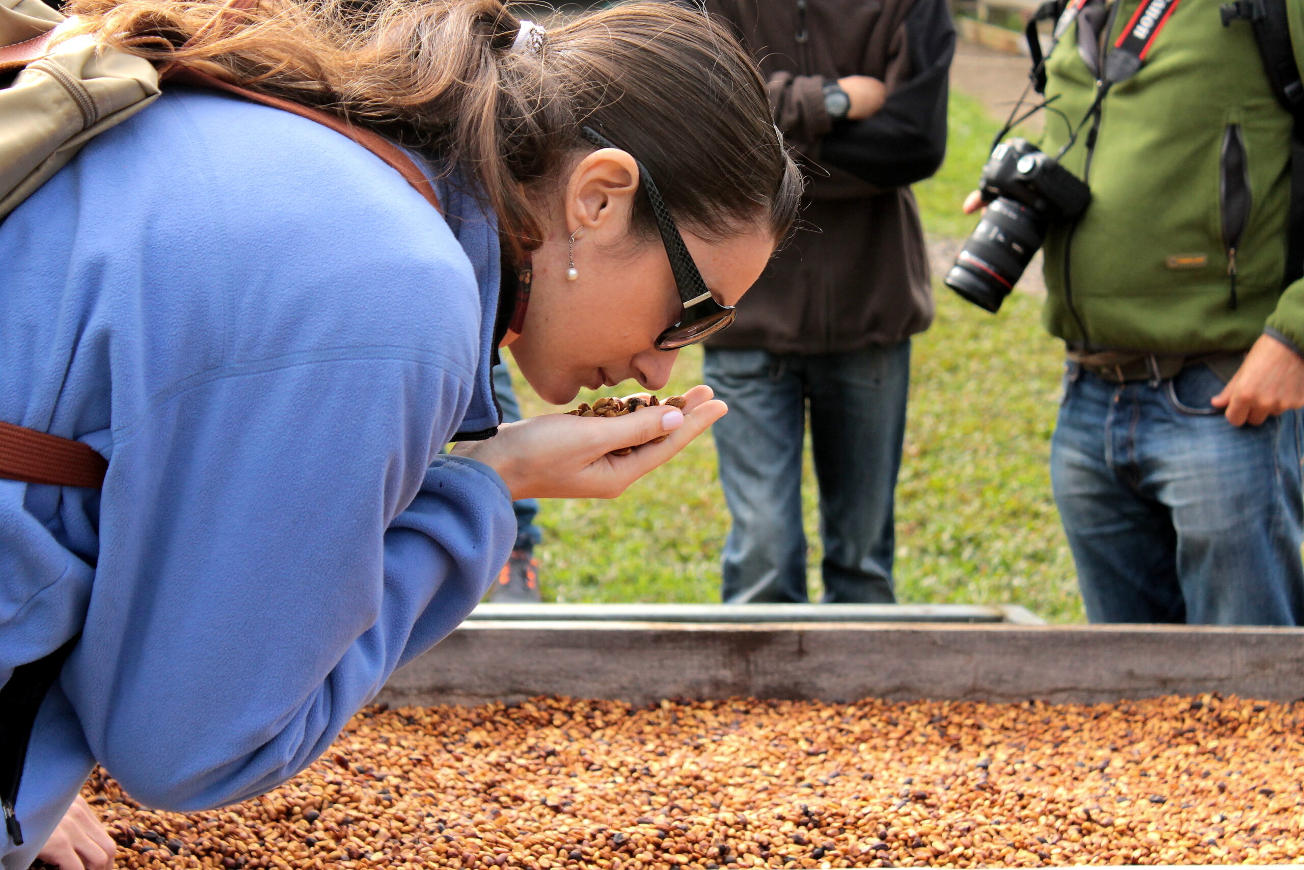 Panama: The Taste of the Great Harvest
