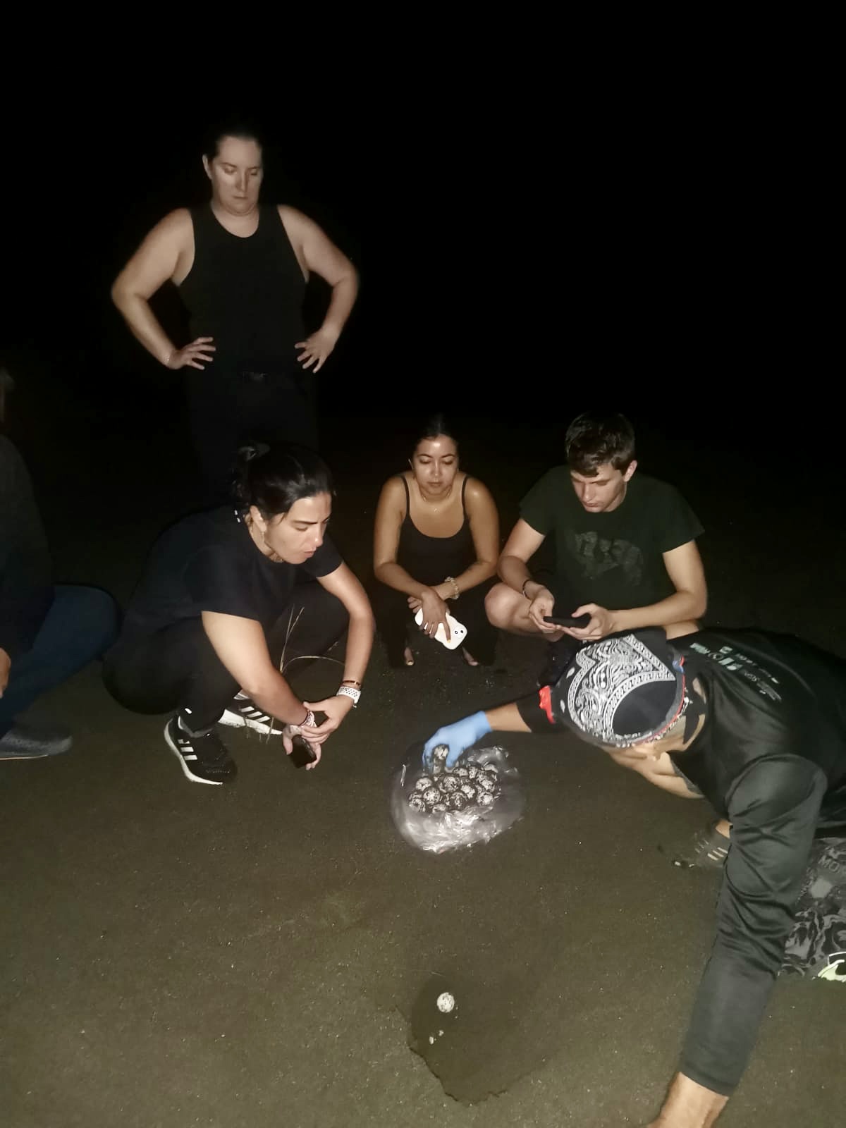 Turtle Patrol Experience at Playa Mata Oscura, Veraguas