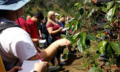 Tropical Agricultural Production in Panama Travel Course