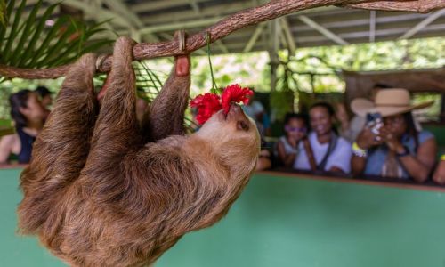 Aventura Gamboa Day Tour